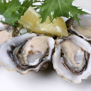 Fresh Atlantic Oysters