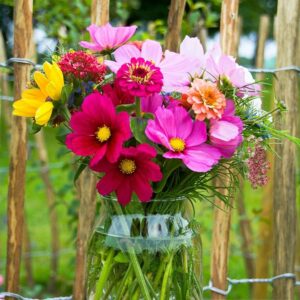 Mixed Wildflowers (Variety: Meadow Mix)