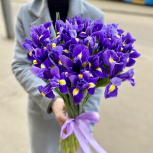 Purple Irises (Variety: Blue Magic)