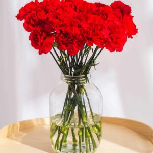 Red Carnations (Variety: Red Rocket)