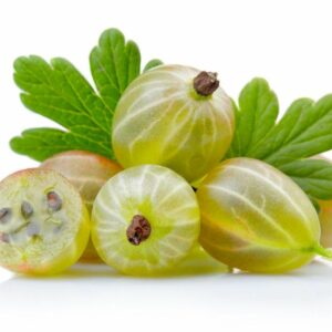 Ripe Gooseberries