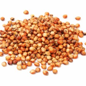 Sorghum Grain