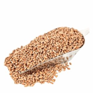 Whole Grain Buckwheat