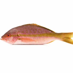 Wild-Caught Yellowtail Snapper