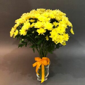 Yellow Chrysanthemums (Variety: Yellow Majesty)