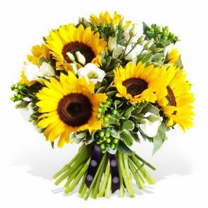 Yellow Sunflowers (Variety: American Giant)